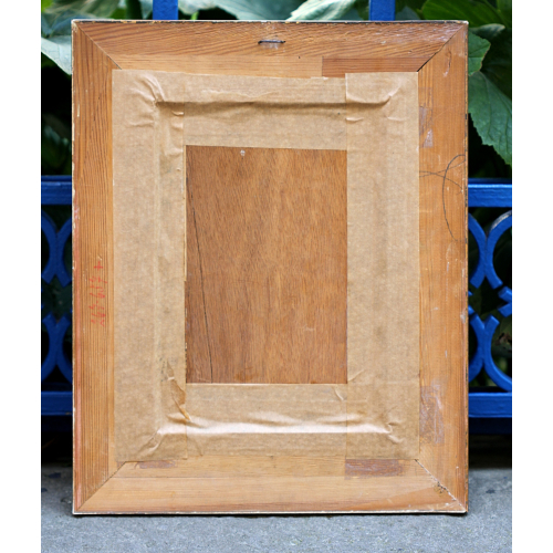 Kopretiny - S. V. Hrušková