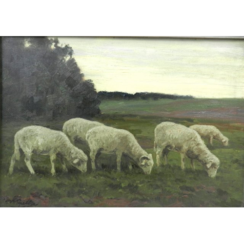 V.H. Popelka - Ovce v soumraku