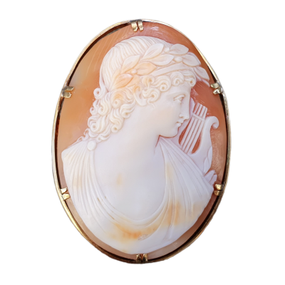 Shell cameo - Apollo