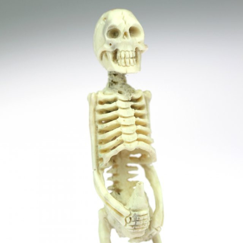 Soška kostlivce s lahví