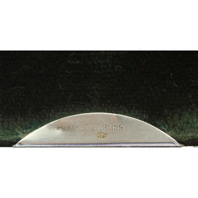 Large silver photo frame - Webster