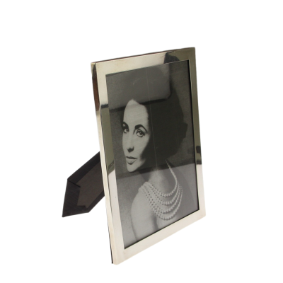 Photo frame, medium size- Webster