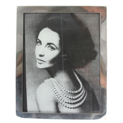 Photo frame, medium size- Webster