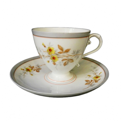 Šálek s podšálkem