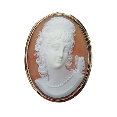 Shell cameo in gold frame - Psyche