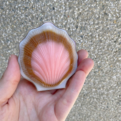 Pudřenka ve tvaru mušle - 1957