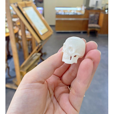 Malá lebka - kost