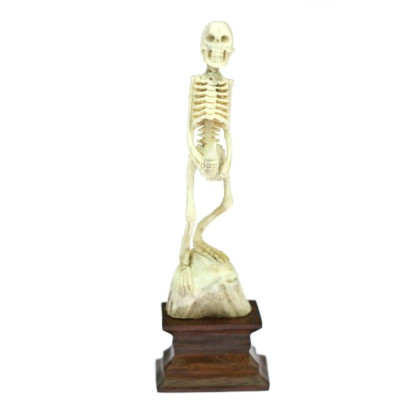 Skeleton with a bottle