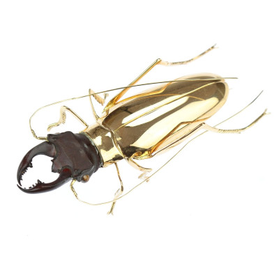 PRODÁNO - Zlatá brož - brouk roháč