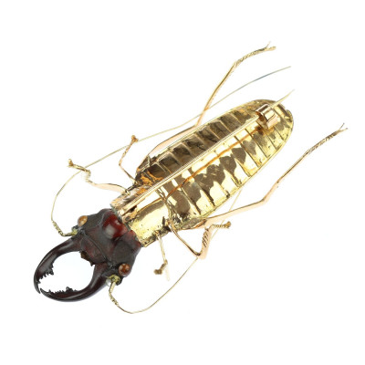 PRODÁNO - Zlatá brož - brouk roháč