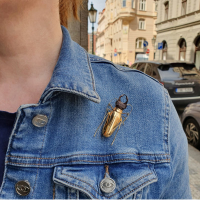 PRODÁNO - Zlatá brož - brouk roháč