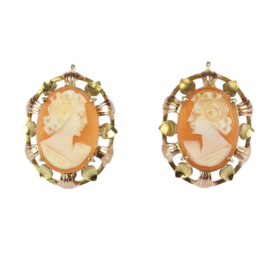 Shell cameo gold earrings