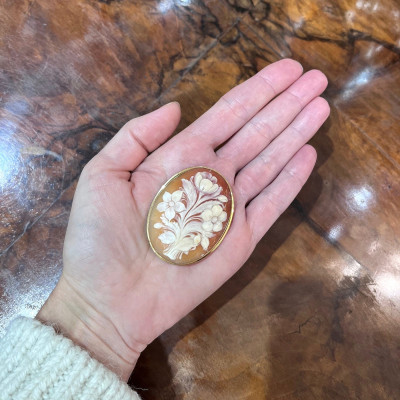 Brooch/pendant with shell cameo
