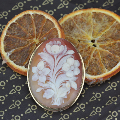 Brooch/pendant with shell cameo