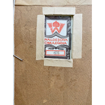 Antonín Mánes - Studie bezlistého stromu