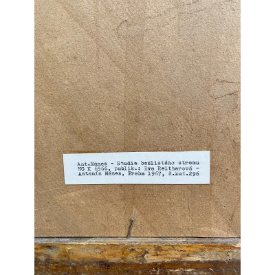 Antonín Mánes - Studie bezlistého stromu