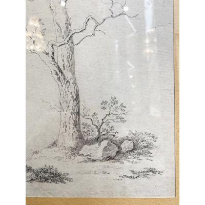 Antonín Mánes - Studie bezlistého stromu