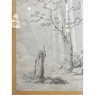 Antonín Mánes - Studie bezlistého stromu