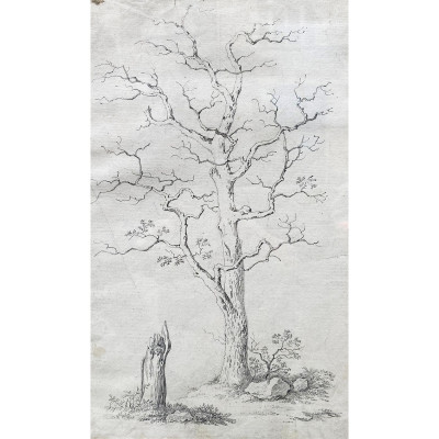 Antonín Mánes - Study of a Leafless Tree