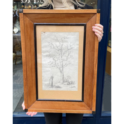 Antonín Mánes - Studie bezlistého stromu