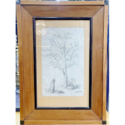 Antonín Mánes - Studie bezlistého stromu