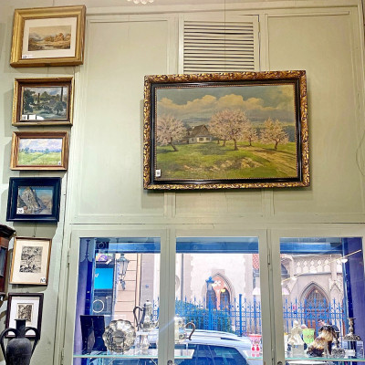 Alfréd Licht – Spring Landscape