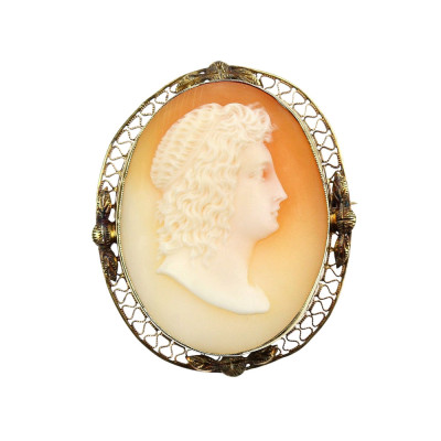 Brooch/pendant with a shell cameo