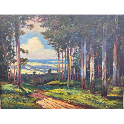 Josef Steinský - Path through the Forest