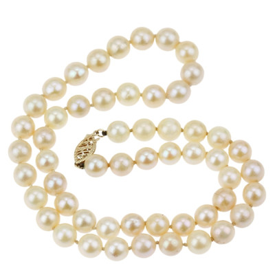 String of pearls with gold clasp - 43 cm