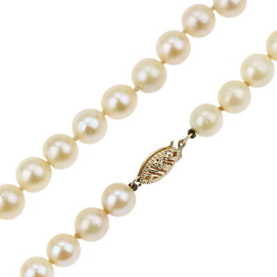 String of pearls with gold clasp - 43 cm
